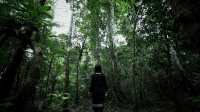 亚马逊雨林有多可怕?丛林十种动物与世隔绝,十米长蛇真的存在吗