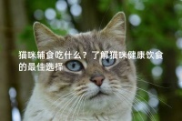 猫咪辅食吃什么？了解猫咪健康饮食的最佳选择