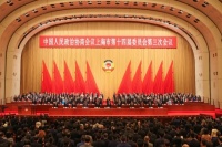 两会声音：上海2025两会涉宠议题