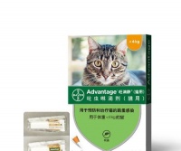 宠物养护（为爱猫宠物健康护航）