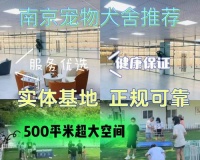 宠物繁殖的注意事项（为宠物繁殖提供良好条件的关键因素）
