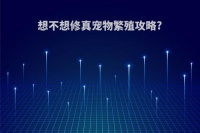 想不想修真宠物繁殖攻略?(想不想修真宠物繁衍条件)