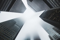 简单的宠物管理要有什么?这5大核心功能不可忽视