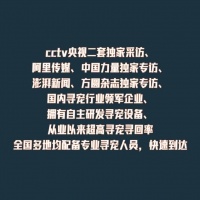 狗丟了怎么办？寻宠团...