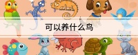 可以养什么鸟