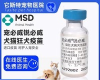 疫苗日期晚了,猫咪的健康怎么办(宠物疫苗的重要性与应对方案)