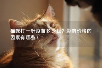 猫咪打一针疫苗多少钱?影响价格的因素有哪些?