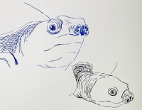 山海经奇珍异兽现实版