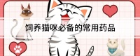 饲养猫咪必备的常用药品