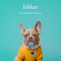 关于我们 – bikkar