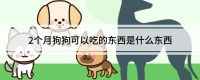 2个月狗狗可以吃的东西是什么东西