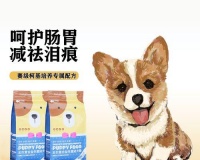幼犬能否食用成犬狗粮?宠物屋