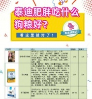 泰迪成犬的最佳食粮选择(探究以泰迪成犬吃什么狗粮为主题的关键因素和食品推荐)