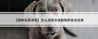 【狗狗玩具选择】怎么选择合适狗狗的安全玩具