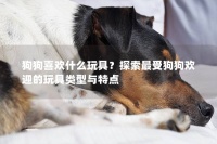 狗狗喜欢什么玩具？探索最受狗狗欢迎的玩具类型与特点