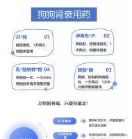 狗狗肾衰竭的原因及预防措施(揭开狗狗肾衰竭的神秘面纱,关爱宠物健康的重要性)