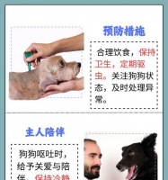 小狗呕吐的常见问题及处理方法(了解小狗呕吐的原因和正确的处理方法,保持宠物的健康)