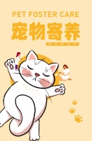 宠物寄养带足粮食就够了?以下7项切勿忽视!