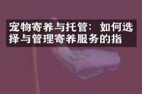 宠物寄养与托管：如何选择与管理寄养服务的指南