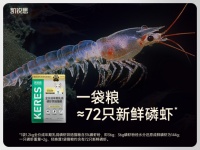 烘焙猫粮卷王诞生?凯锐思45%蛋白重新定义国货好猫粮