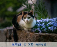 烘焙粮月度观察：原料&工艺持续升级，品类增长反哺市场新用户拓展