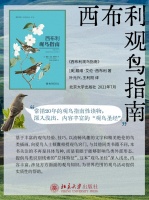 真的太喜欢小鸟了!不可错过的17本关于鸟儿的书