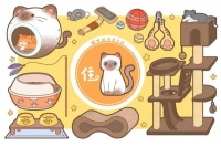 【猫环境管理】猫环境需求
