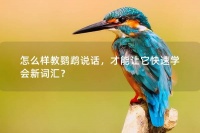 怎么样教鹦鹉说话,才能让它快速学会新词汇?