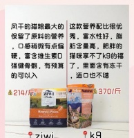 第八周小猫的猫粮选择建议?