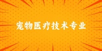 2024宠物医疗技术专业云南录取分数线多少分 附专业就业方向 (2025参考)