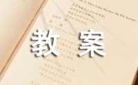 有关猫教案9篇