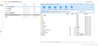 python毕设 基于web的养宠系统的实现程序+论文