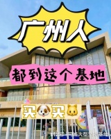 广州买宠物猫狗哪里便宜?这里实体店选购宠物,安全更值得信赖