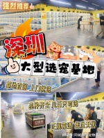 深圳最大的宠物市场在哪里?这里安全可靠能挑选心仪的宠物哦
