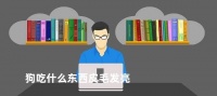 狗吃什么东西皮毛发亮