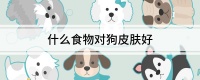 什么食物对狗皮肤好