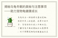 揭秘乌龟冬眠的奥秘与注意事项——助力宠物龟健康成长