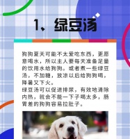 小狗狗为什么不能喝水？（探究小狗狗喝水的原因及注意事项）