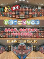 杭州宠物猫狗哪里买靠谱?这里安全可靠还能实地选宠物不虚此行