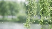 【公益广告】注意！春季花粉过敏近期高发，会持续到5月……