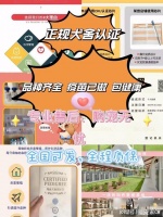 南京买宠物靠谱的地方，南京买宠物哪里便宜，这里安全靠谱有保障