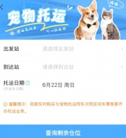 “撸猫撸狗”背后：宠物经济爆发下的“必要升级”之痛