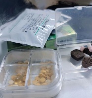 狗胰腺炎康复饮食指南(了解如何选择合适的粮食来帮助狗狗恢复健康)