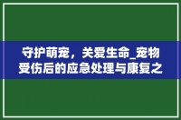 守护萌宠,关爱生命