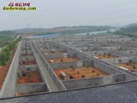 河北海兴养蛇场养蛇基地
