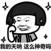 原来狗语翻译器真的可以有，还是个华人团队搞的