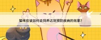 猫咪应该如何去饲养达到预防疾病的效果?
