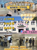 台州哪里有英短蓝猫卖?台州这里英短蓝猫品质优良,购宠更安心!