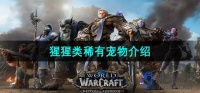 魔兽世界猩猩类稀有宠物有哪些
