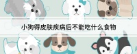 小狗得皮肤疾病后不能吃什么食物